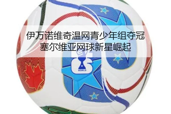 yi-wan-nuo-wei-qi-wen-wang-qing-shao-nian-zu-duo-guan-sai-er-wei-ya-wang-qiu-xin-xing-jue-qi-3-111.jpg