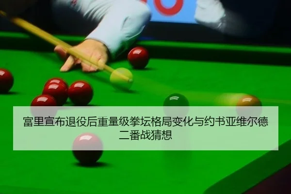 富里宣布退役后重量级拳坛格局变化与约书亚维尔德二番战猜想
