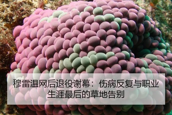穆雷温网后退役谢幕：伤病反复与职业生涯最后的草地告别